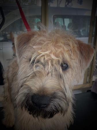 Click to view more details