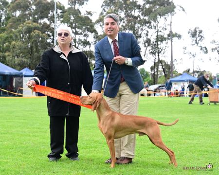 Click to view more details