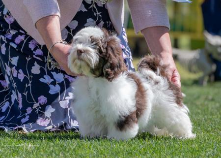 Click to view more details