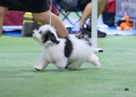 Click to view more details