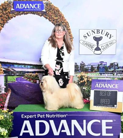 Click to view more details