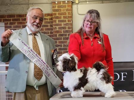 Click to view more details