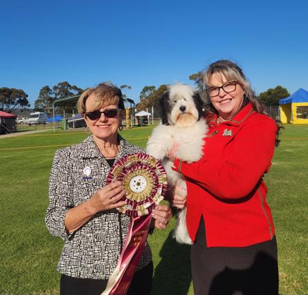 Click to view more details