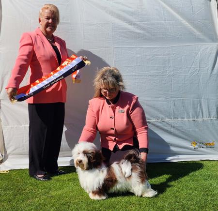 Click to view more details