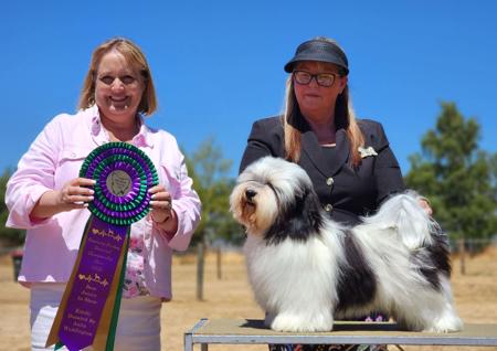 Click to view more details