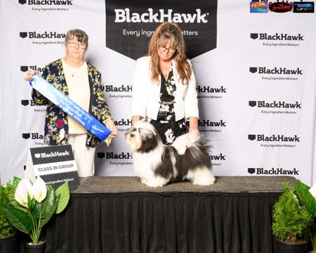 Click to view more details