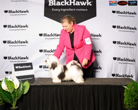 Click to view more details