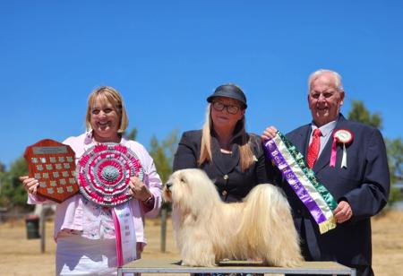 Click to view more details