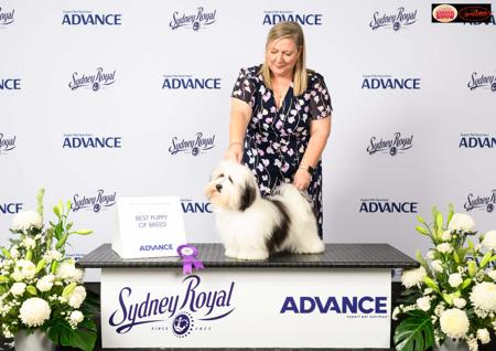 Click to view more details