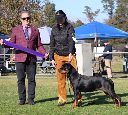 Vonkonigin Prinzessin Lexi Rottweiler