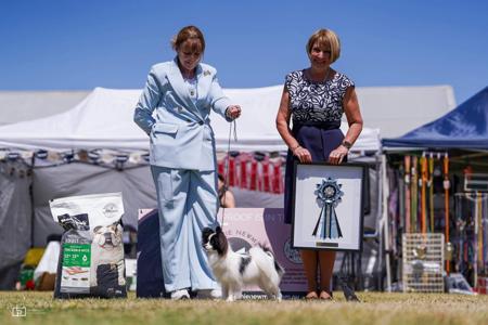 Click to view more details