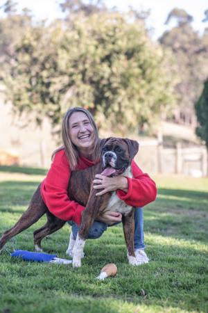 Boxer for sale by MIANNASTAR