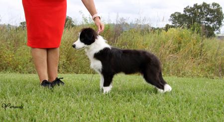 Click to view more details