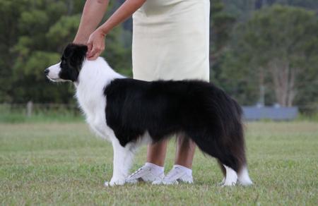 Click to view more details