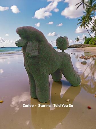 Poodle (Standard) for sale by SHERTONAH