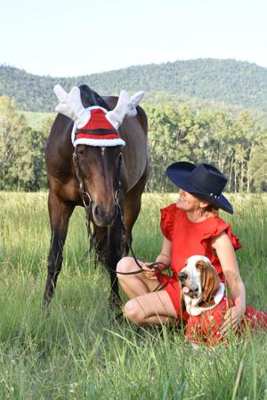 Basset Hound for sale by THELMAE