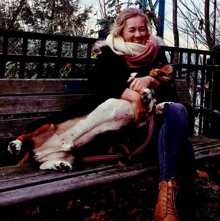 Basset Hound for sale by THELMAE