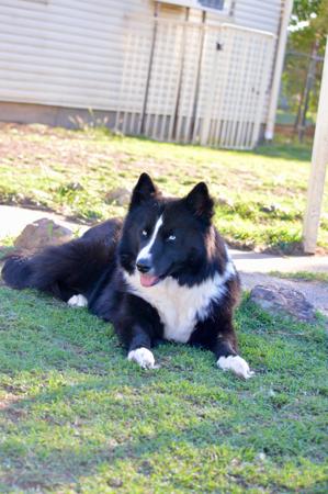 Click to view more details