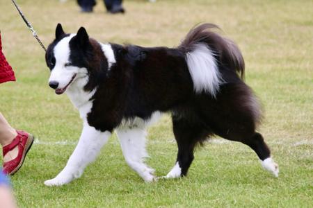 Click to view more details