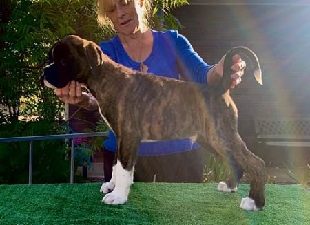 Click to view more details