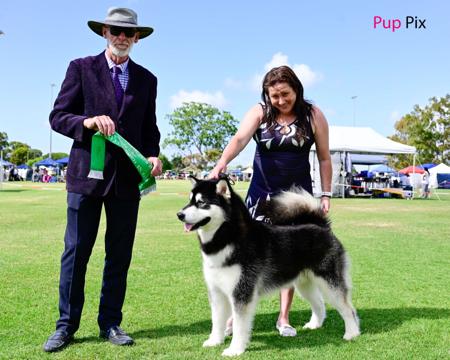 Click to view more details