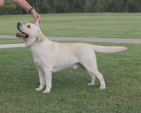 Click to view more details