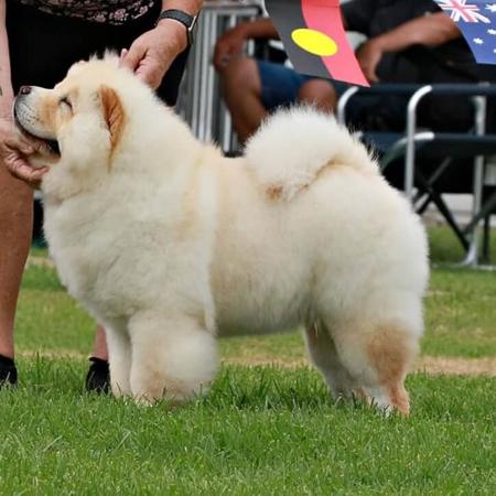 Click to view more details