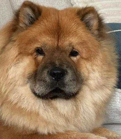 Click to view more details