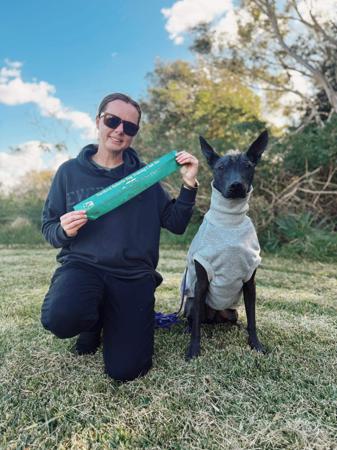 Xoloitzcuintle (Standard) for sale by AMASA