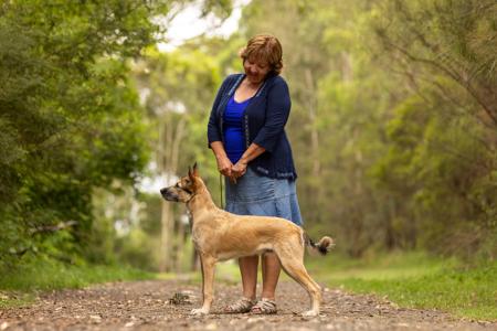 Xoloitzcuintle (Standard) for sale by AMASA