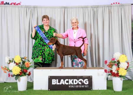 Click to view more details