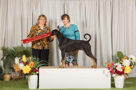 Click to view more details