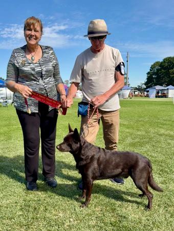 Click to view more details