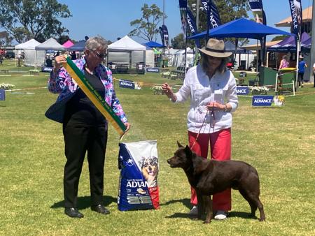 Click to view more details