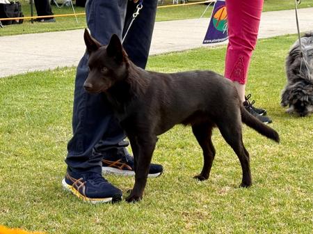 Click to view more details