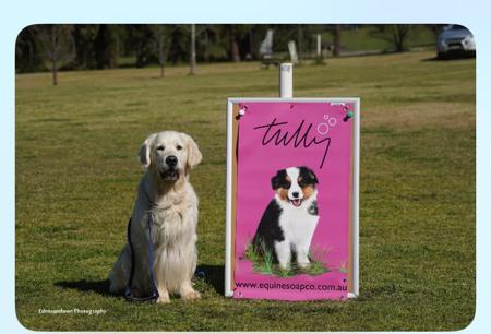 Click to view more details