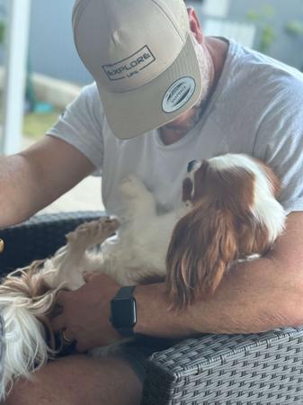 Cavalier King Charles Spaniel for sale by WHITEACRES