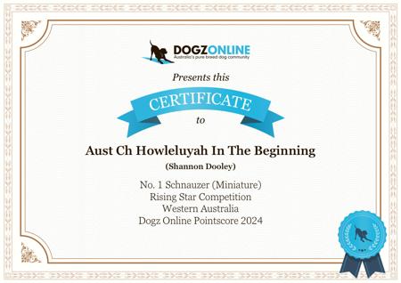 Schnauzer (Miniature) for sale by HOWLELUYAH