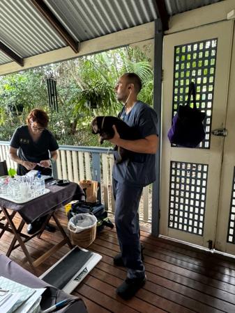 Labrador Retriever for sale by MONNYBROOK