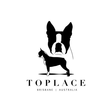 Boston Terrier for sale by TOPLACE