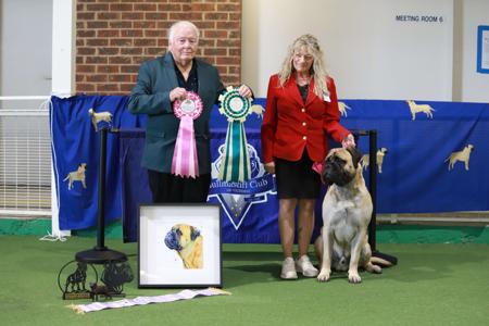 Click to view more details