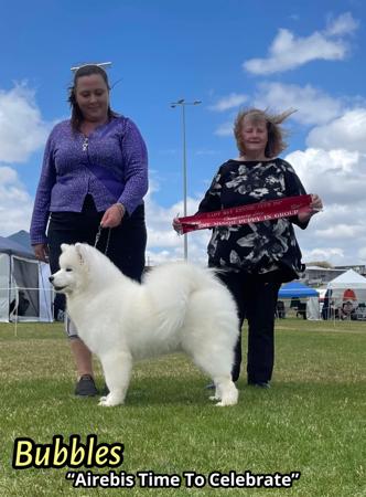 Click to view more details