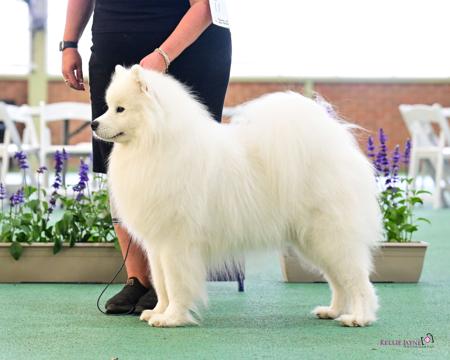 Click to view more details