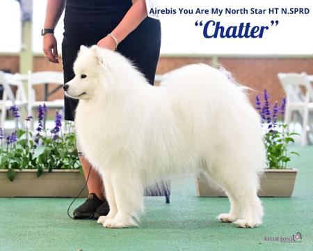 Click to view more details