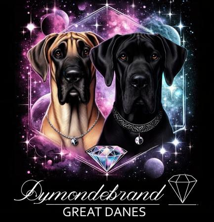 Great Dane for sale by MISSNIXY