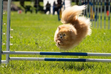 Click to view more details