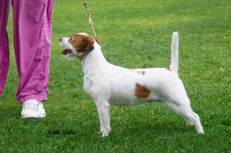 Click to view more details