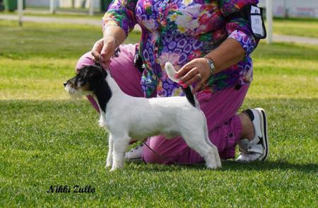 Click to view more details