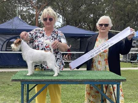 Click to view more details