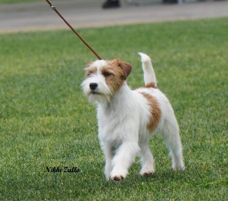 Click to view more details